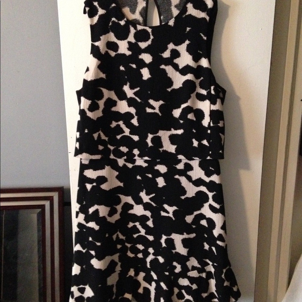 Banana Republic Skater Dress